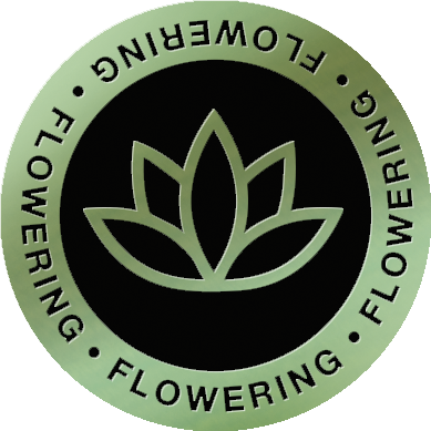 Flowering